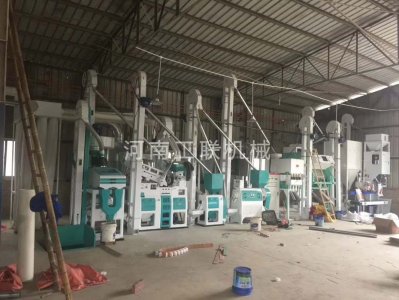 20噸大米色選加工設(shè)備