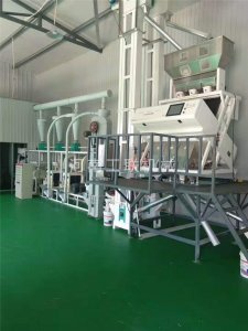 （蕎麥米）雜糧加工設備